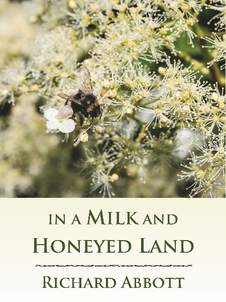 `In a Milk and Honeyed Land` Cover